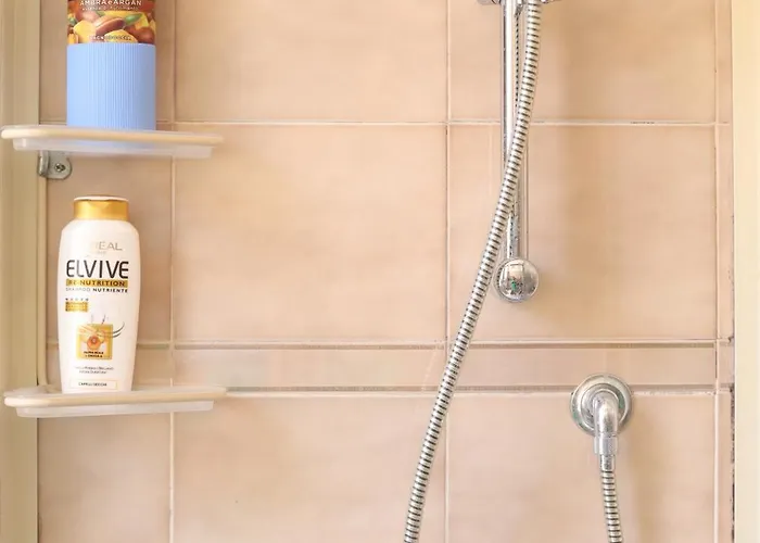 Artist's House Colosseum Roma