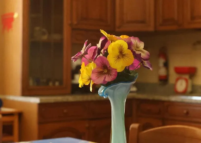 Artist's House Colosseum Roma